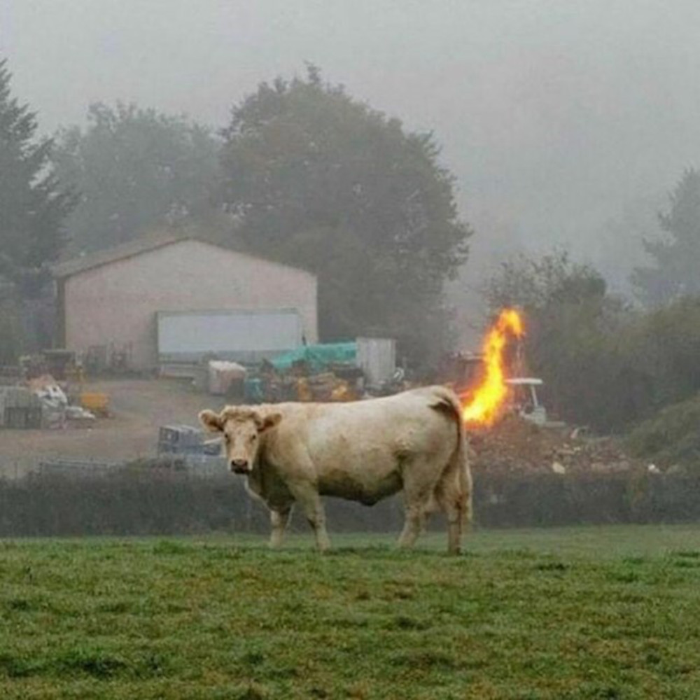 17 fotografija koje su u isto vrijeme smiješne i jako neugodne